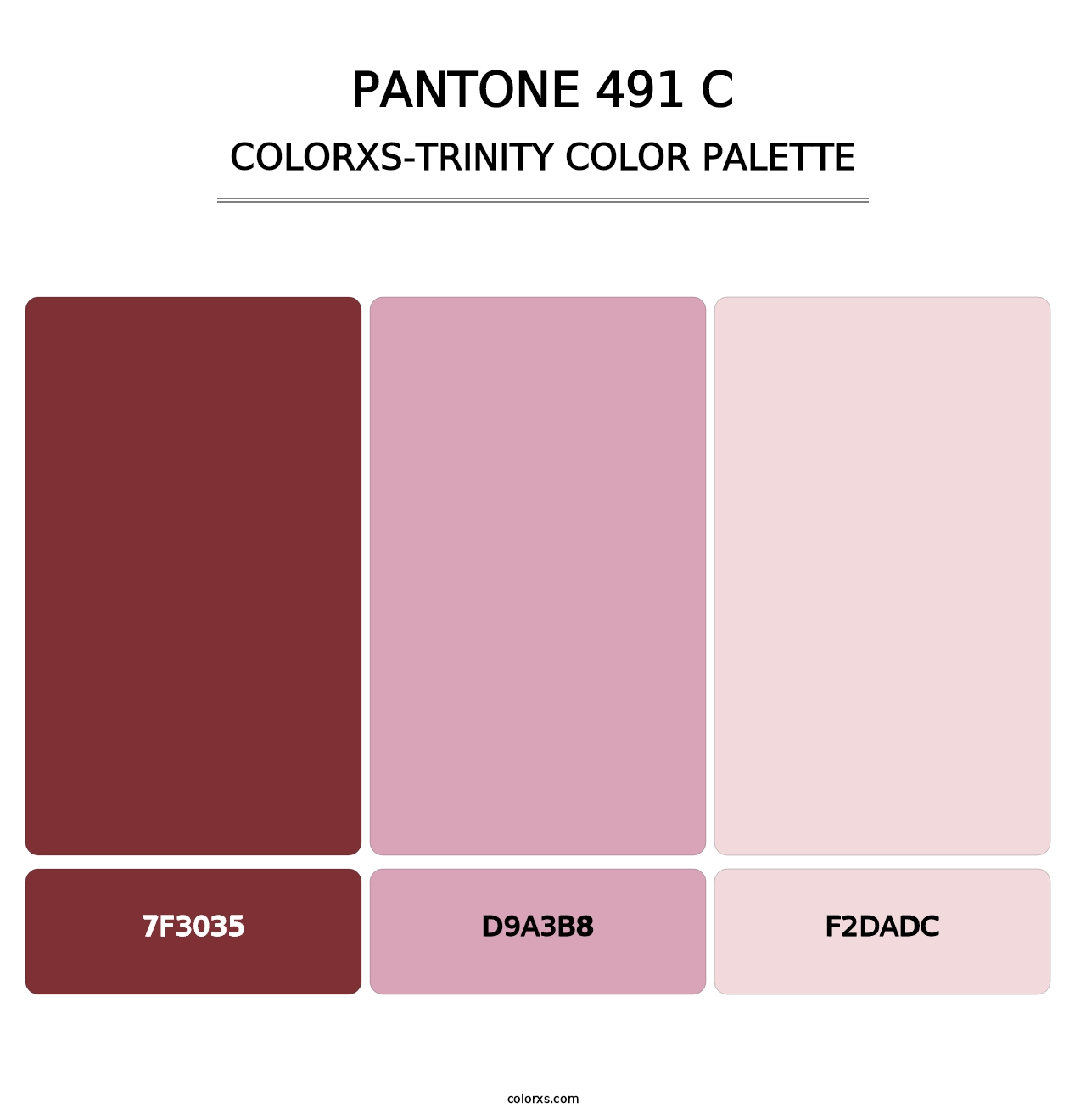 PANTONE 491 C - Colorxs Trinity Palette