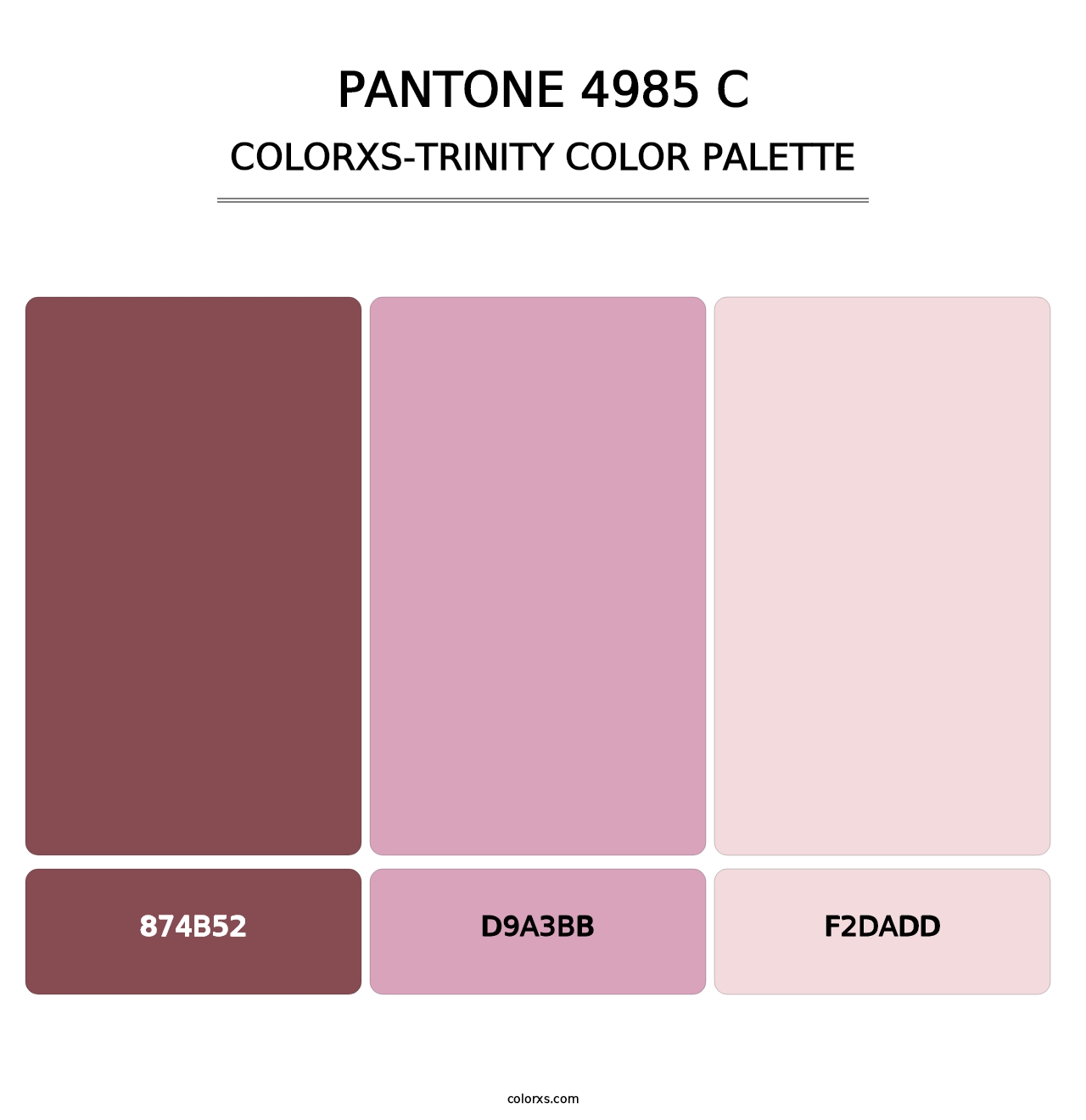 PANTONE 4985 C - Colorxs Trinity Palette