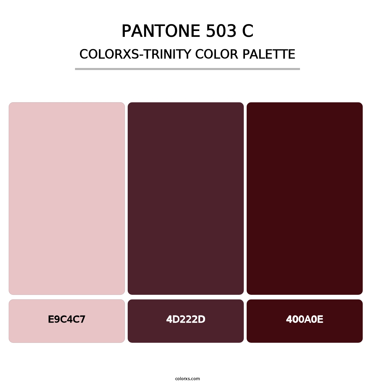 PANTONE 503 C - Colorxs Trinity Palette