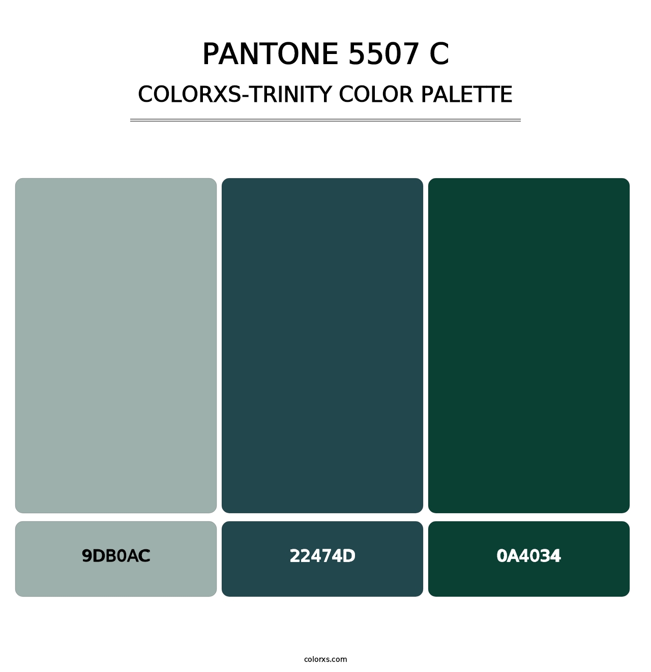 PANTONE 5507 C - Colorxs Trinity Palette