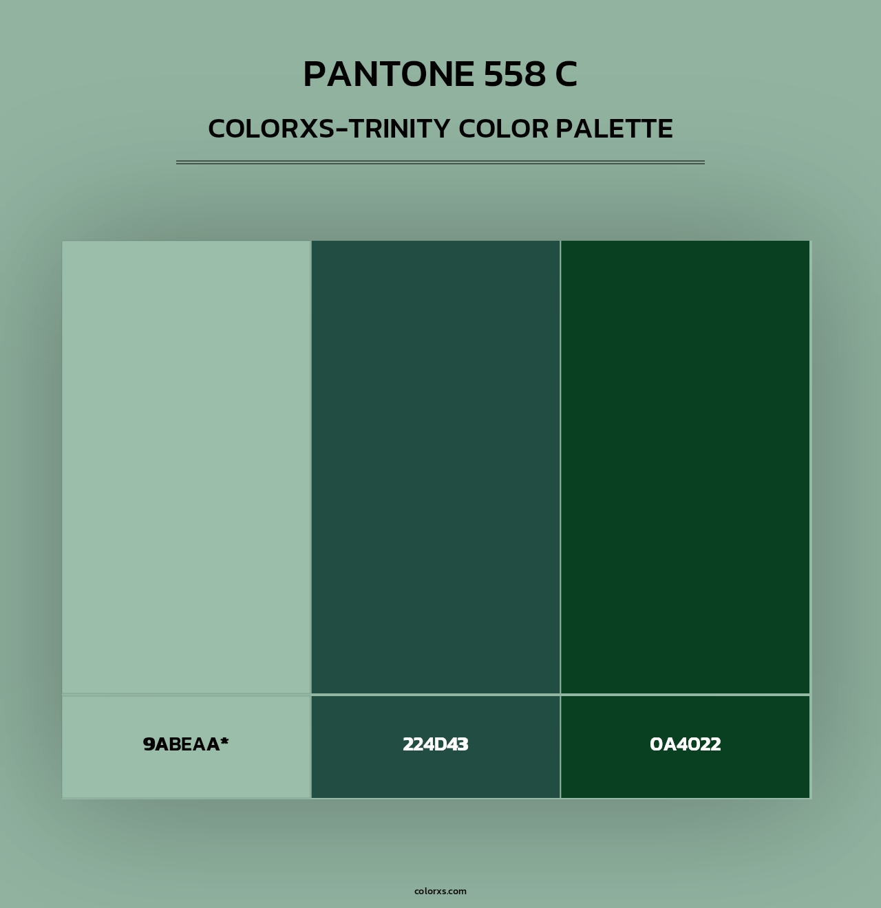 PANTONE 558 C - Colorxs Trinity Palette