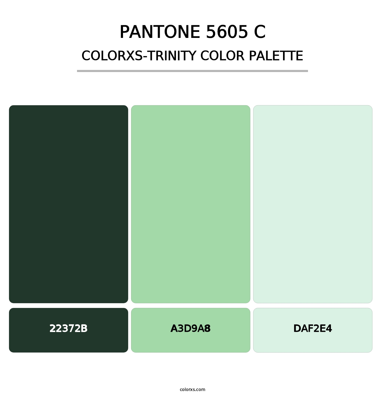 PANTONE 5605 C - Colorxs Trinity Palette