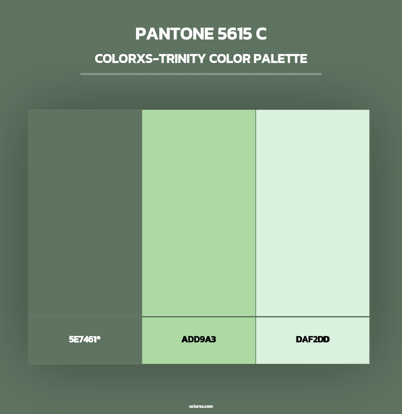PANTONE 5615 C - Colorxs Trinity Palette