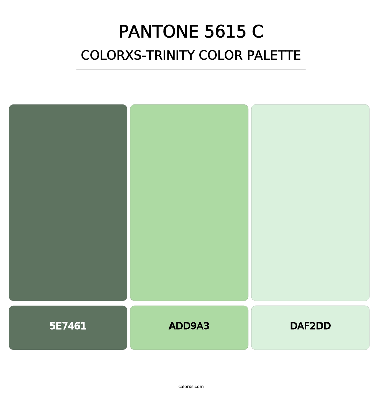 PANTONE 5615 C - Colorxs Trinity Palette
