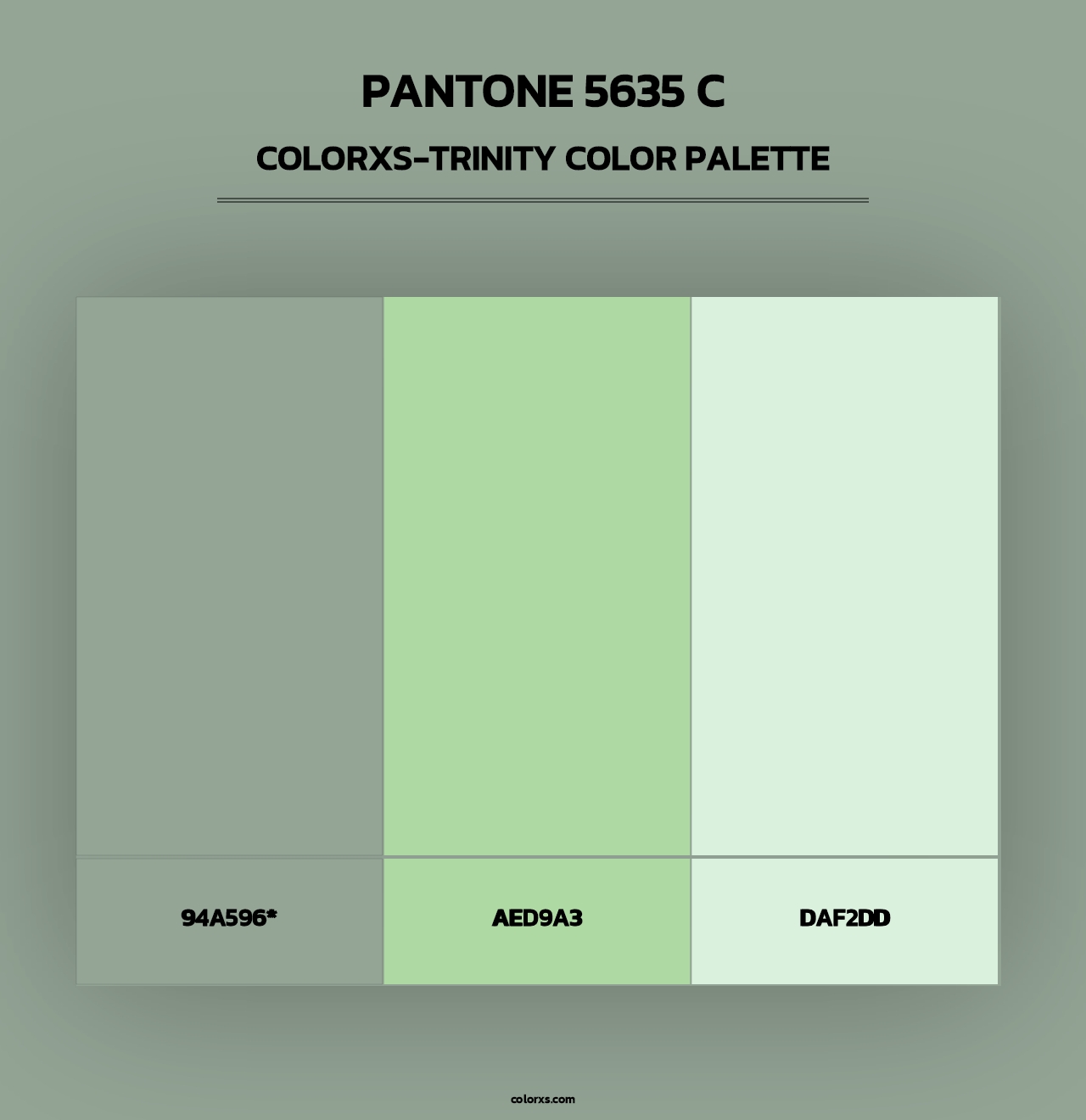 PANTONE 5635 C - Colorxs Trinity Palette