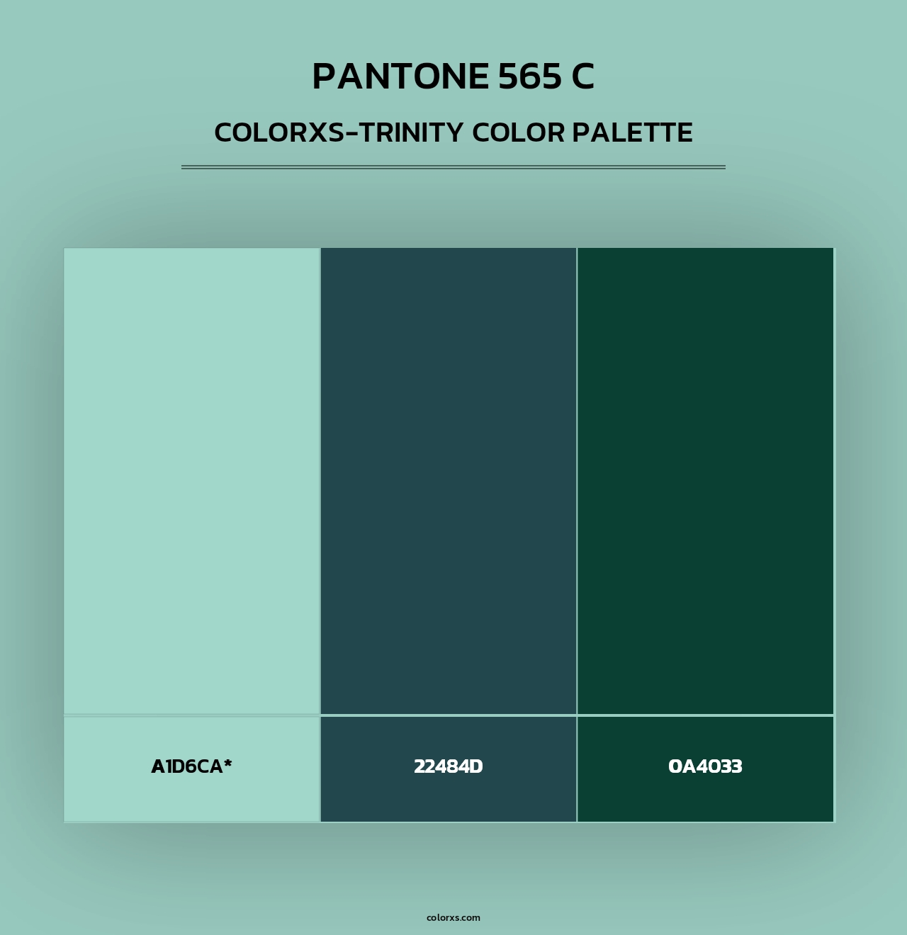 PANTONE 565 C - Colorxs Trinity Palette