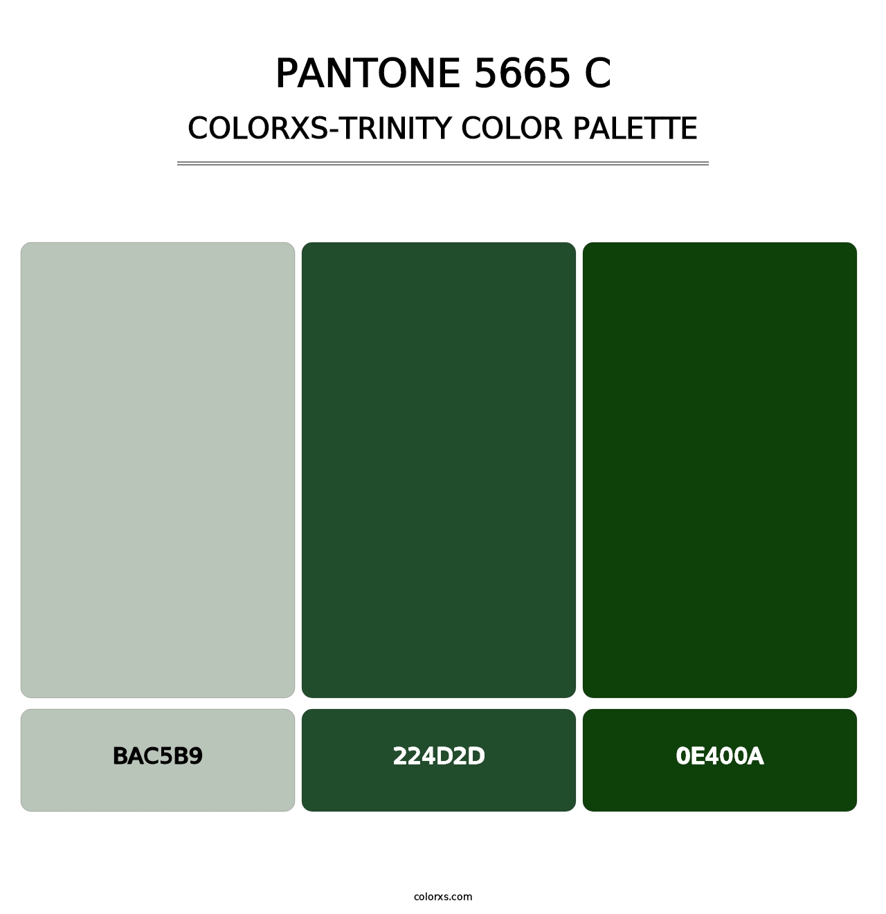 PANTONE 5665 C - Colorxs Trinity Palette