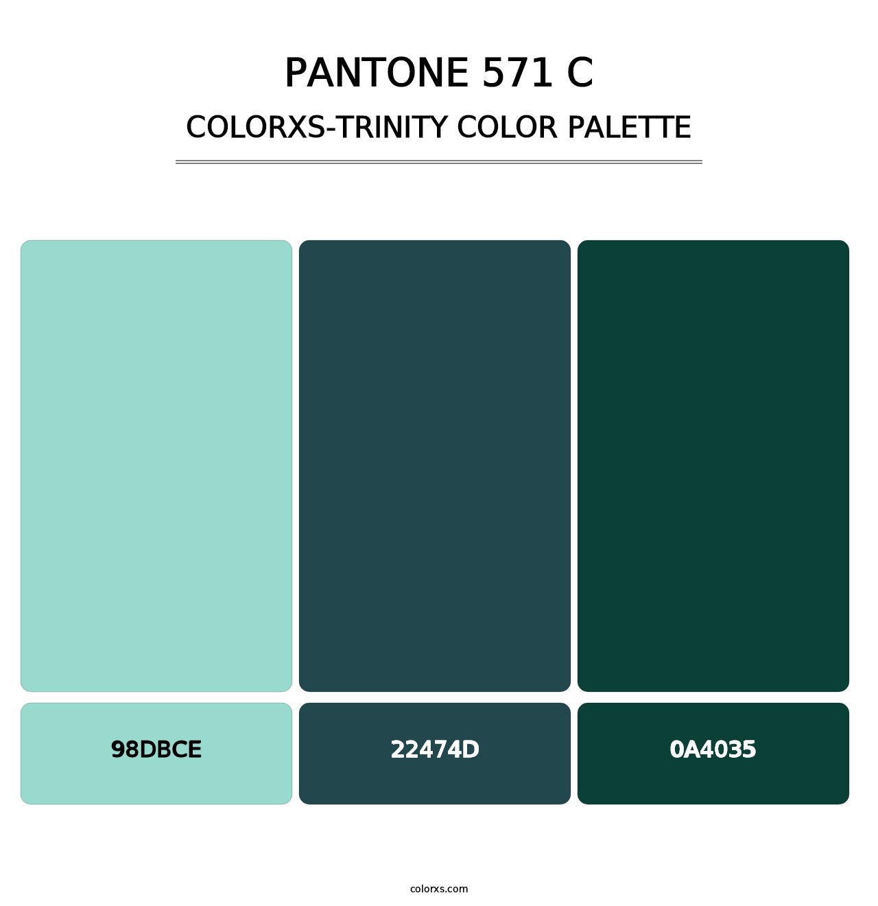 PANTONE 571 C - Colorxs Trinity Palette