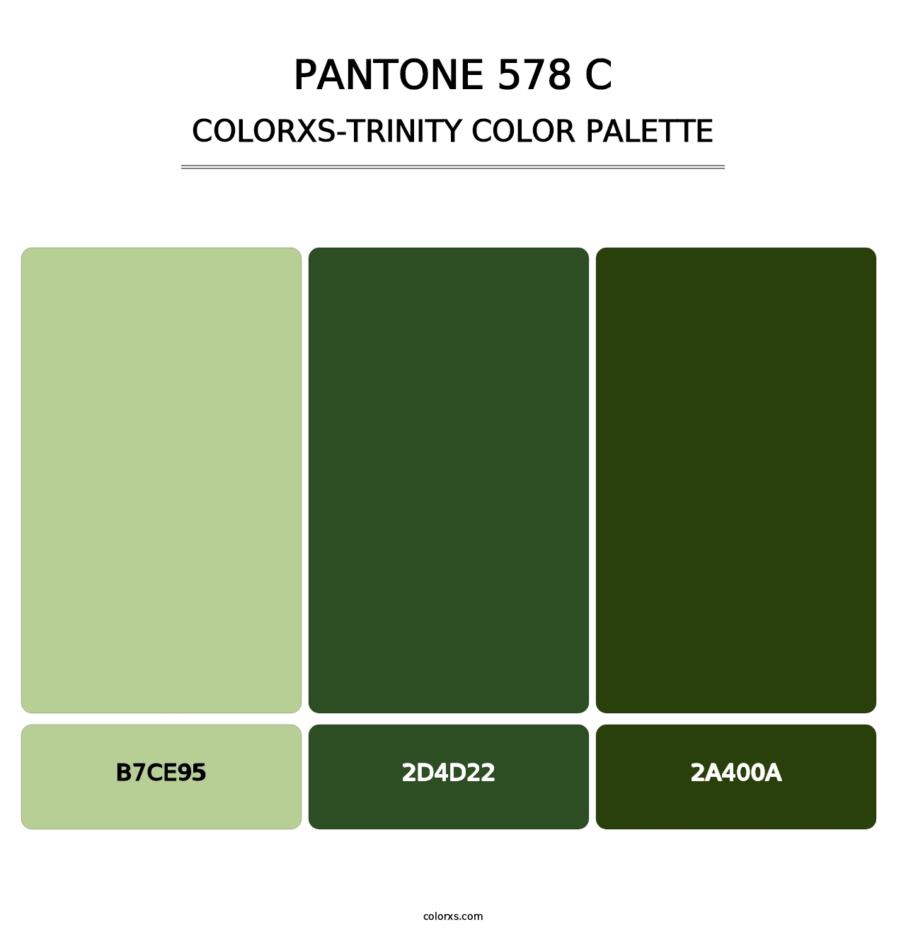 PANTONE 578 C - Colorxs Trinity Palette