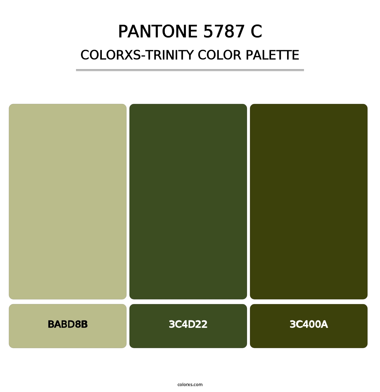 PANTONE 5787 C - Colorxs Trinity Palette