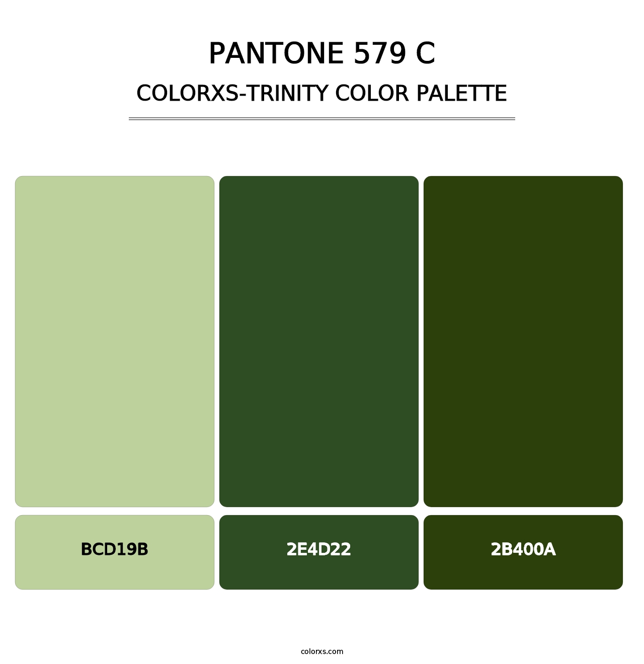 PANTONE 579 C - Colorxs Trinity Palette