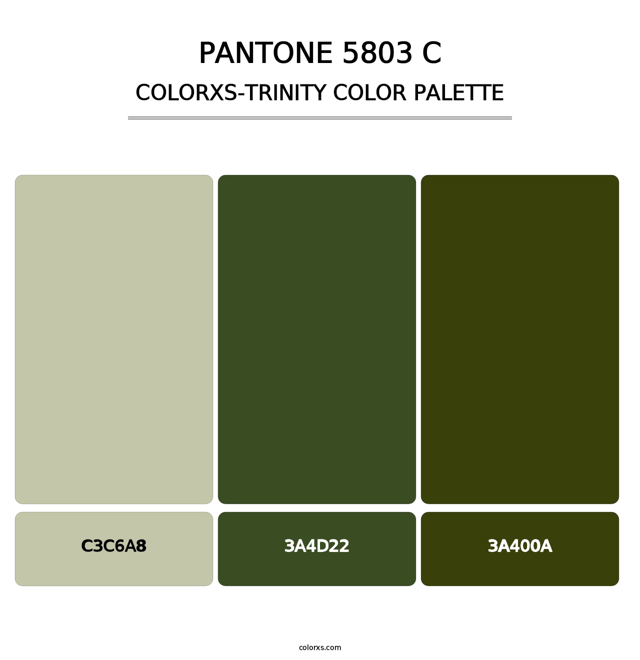 PANTONE 5803 C - Colorxs Trinity Palette