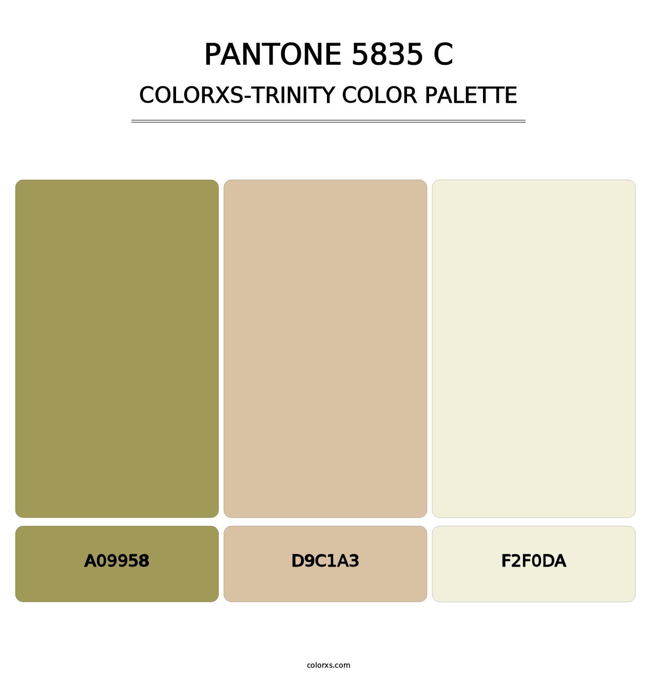 PANTONE 5835 C - Colorxs Trinity Palette