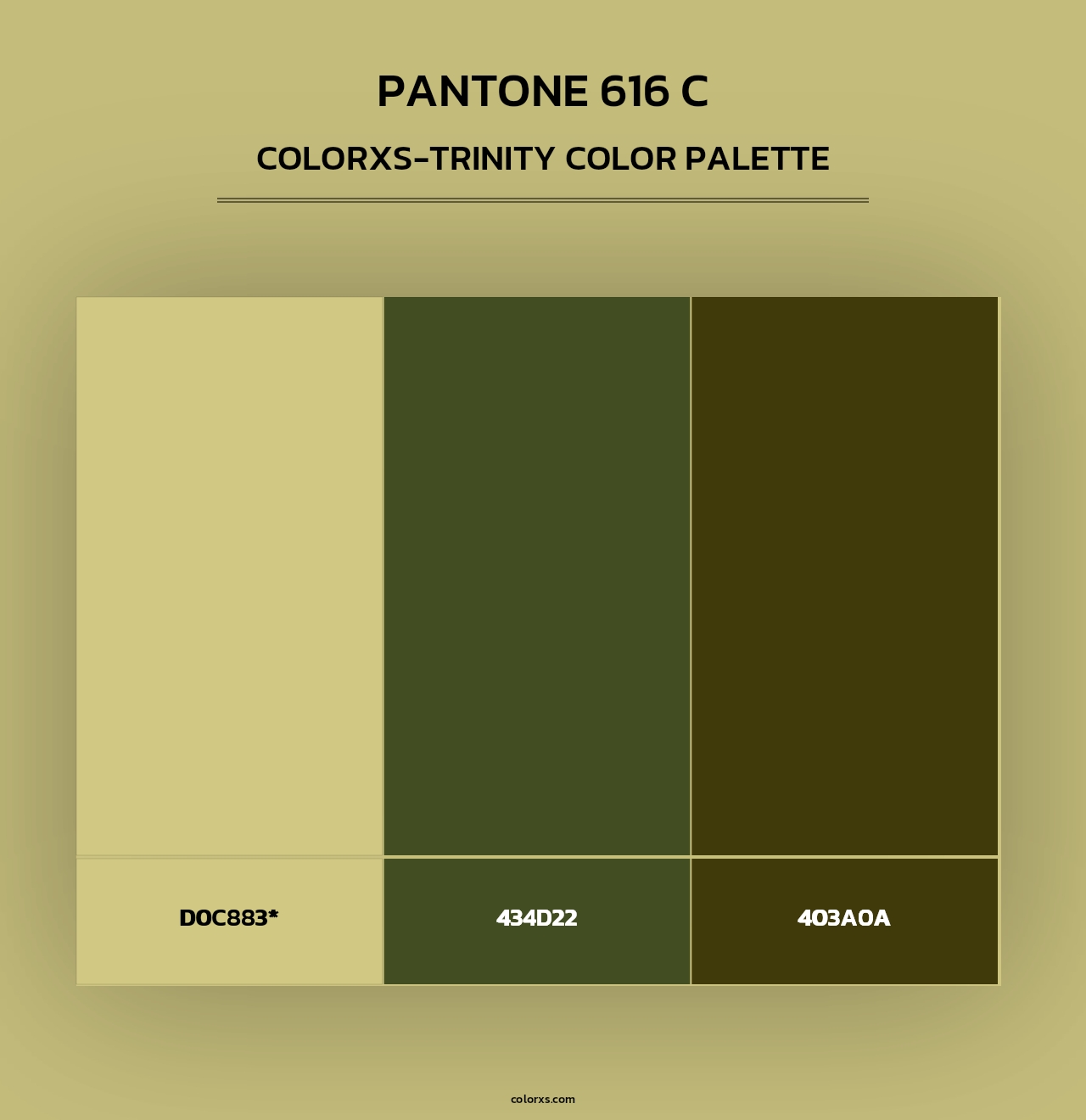 PANTONE 616 C - Colorxs Trinity Palette