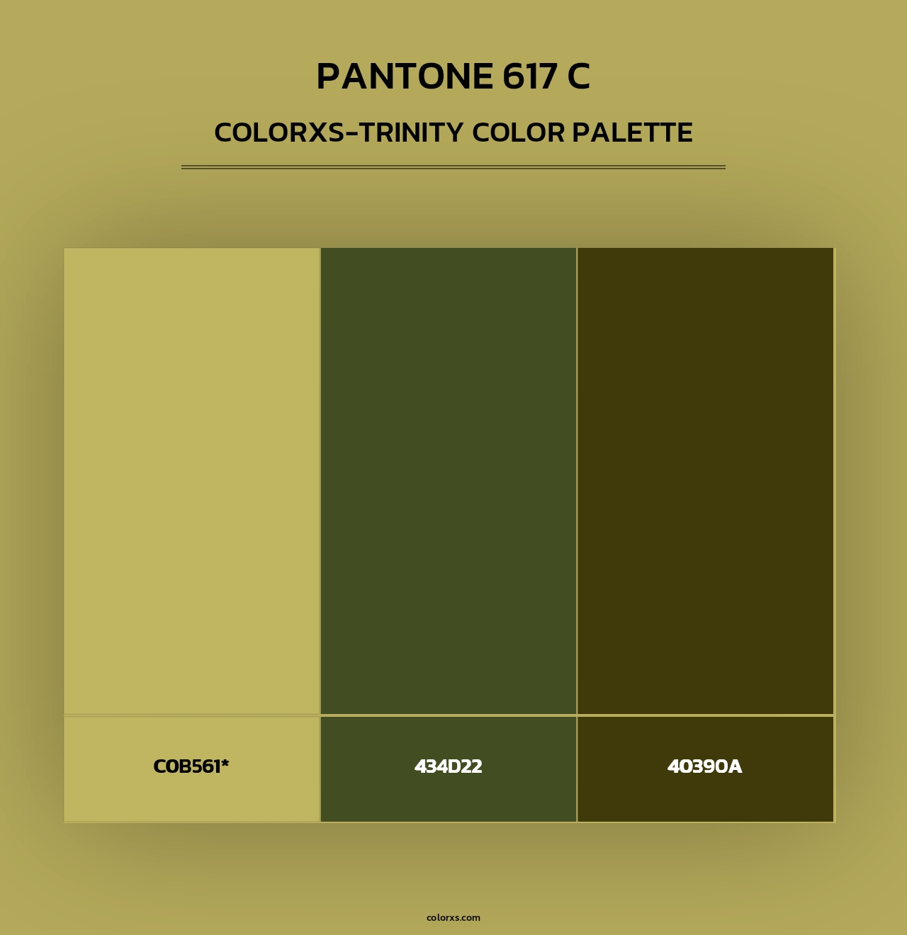 PANTONE 617 C - Colorxs Trinity Palette
