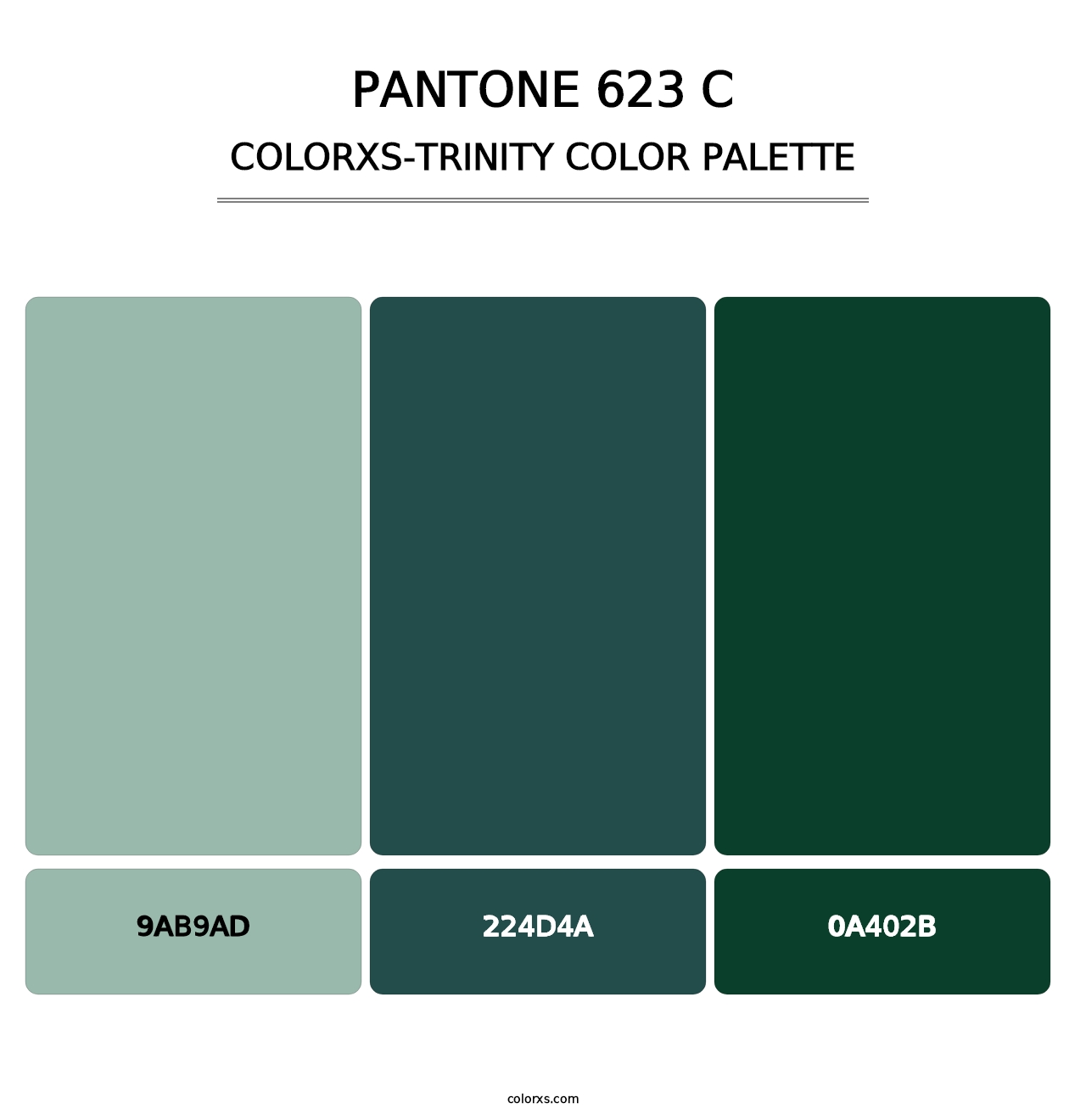 PANTONE 623 C - Colorxs Trinity Palette