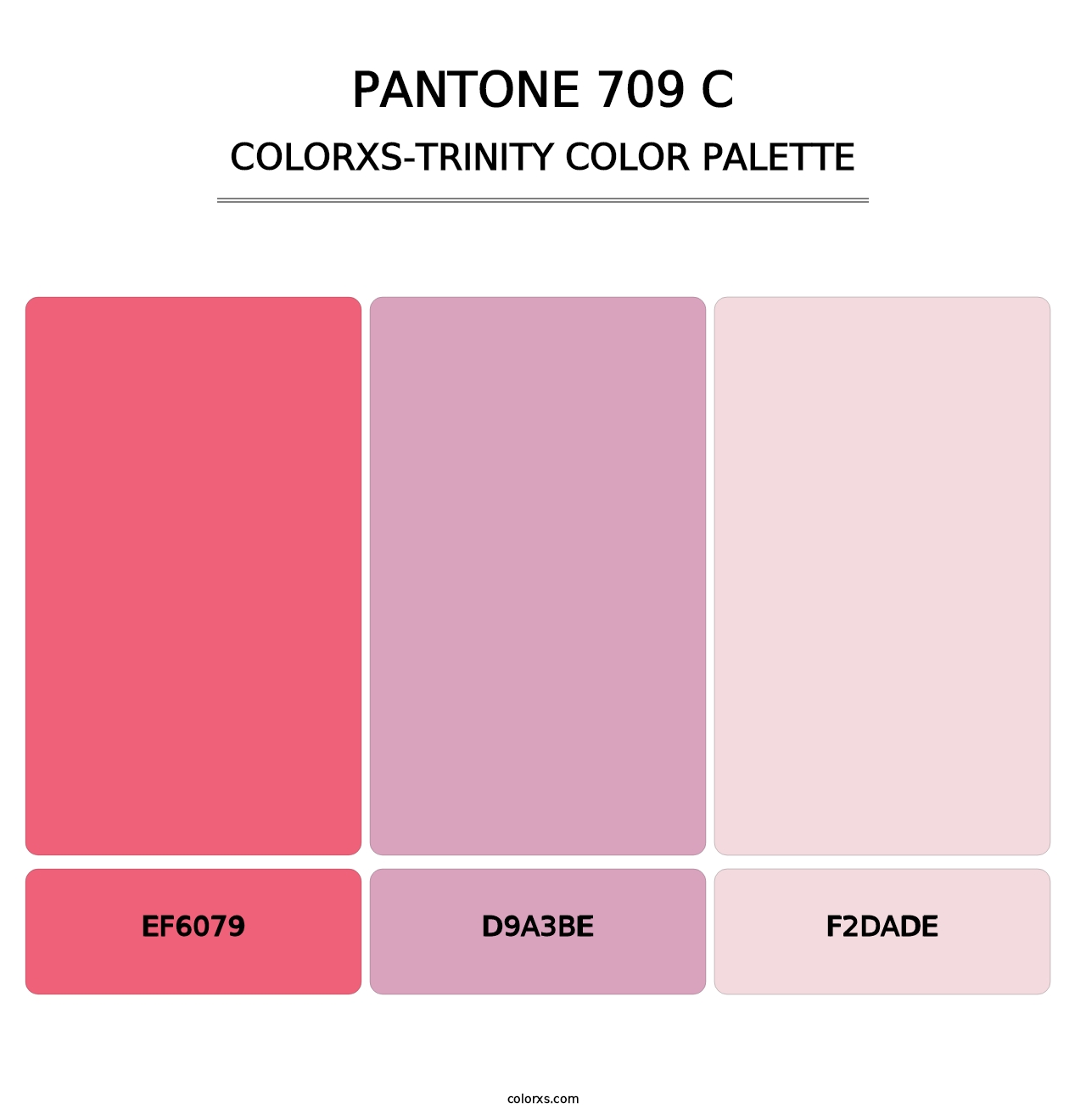 PANTONE 709 C - Colorxs Trinity Palette