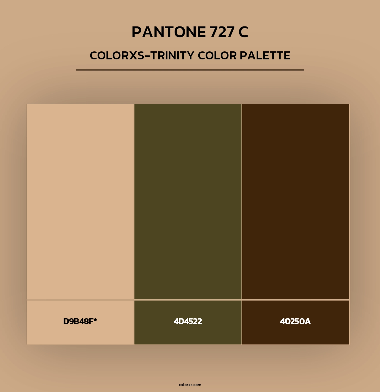 PANTONE 727 C - Colorxs Trinity Palette