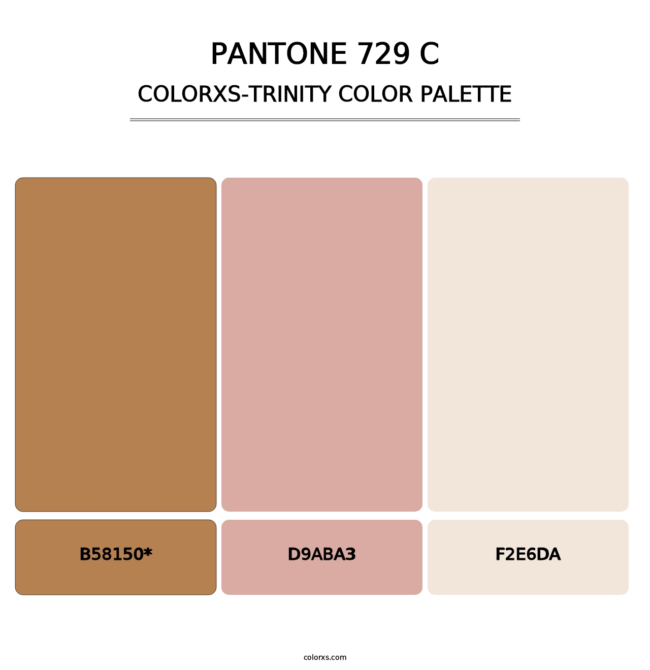 PANTONE 729 C - Colorxs Trinity Palette
