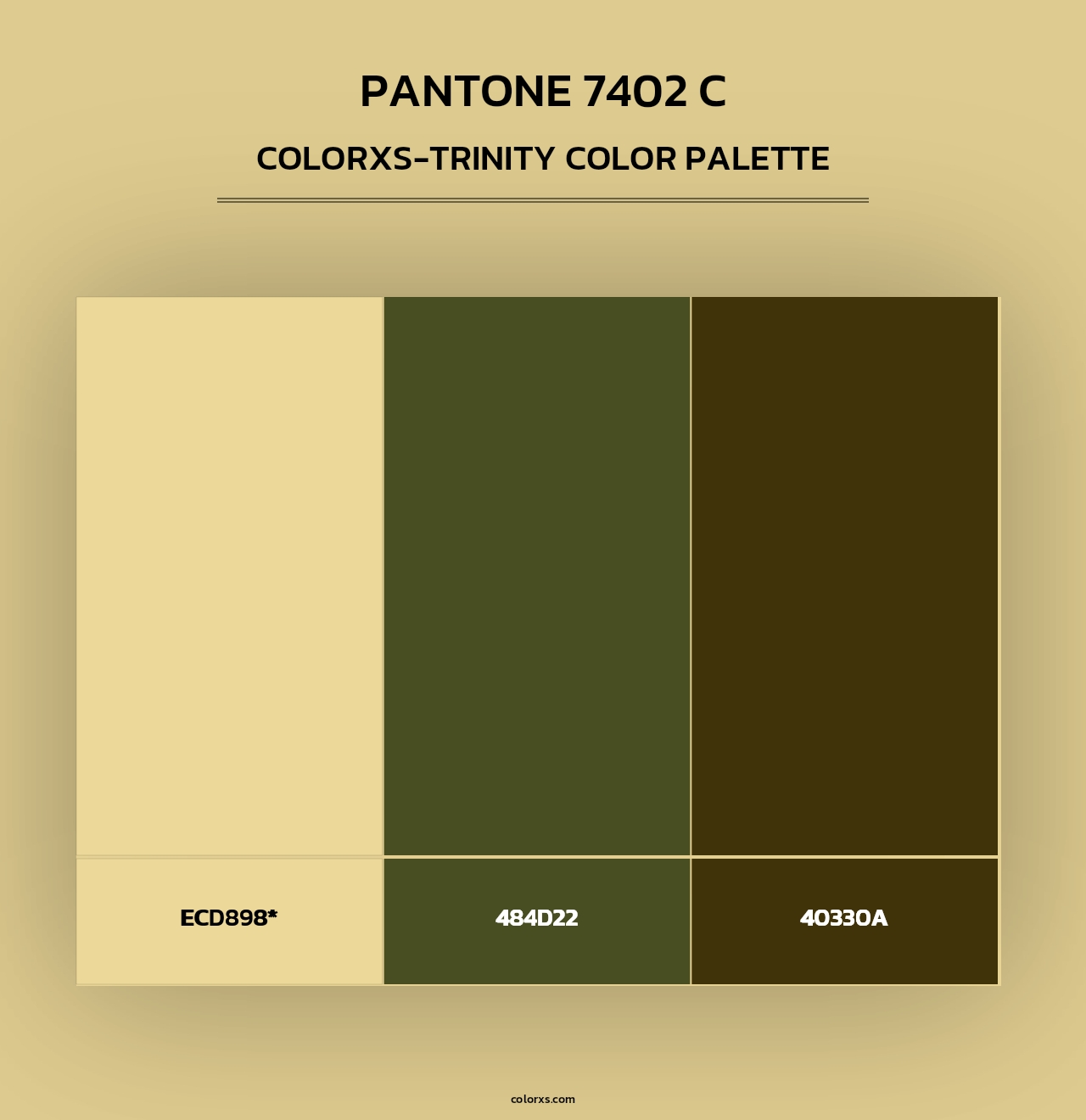 PANTONE 7402 C - Colorxs Trinity Palette