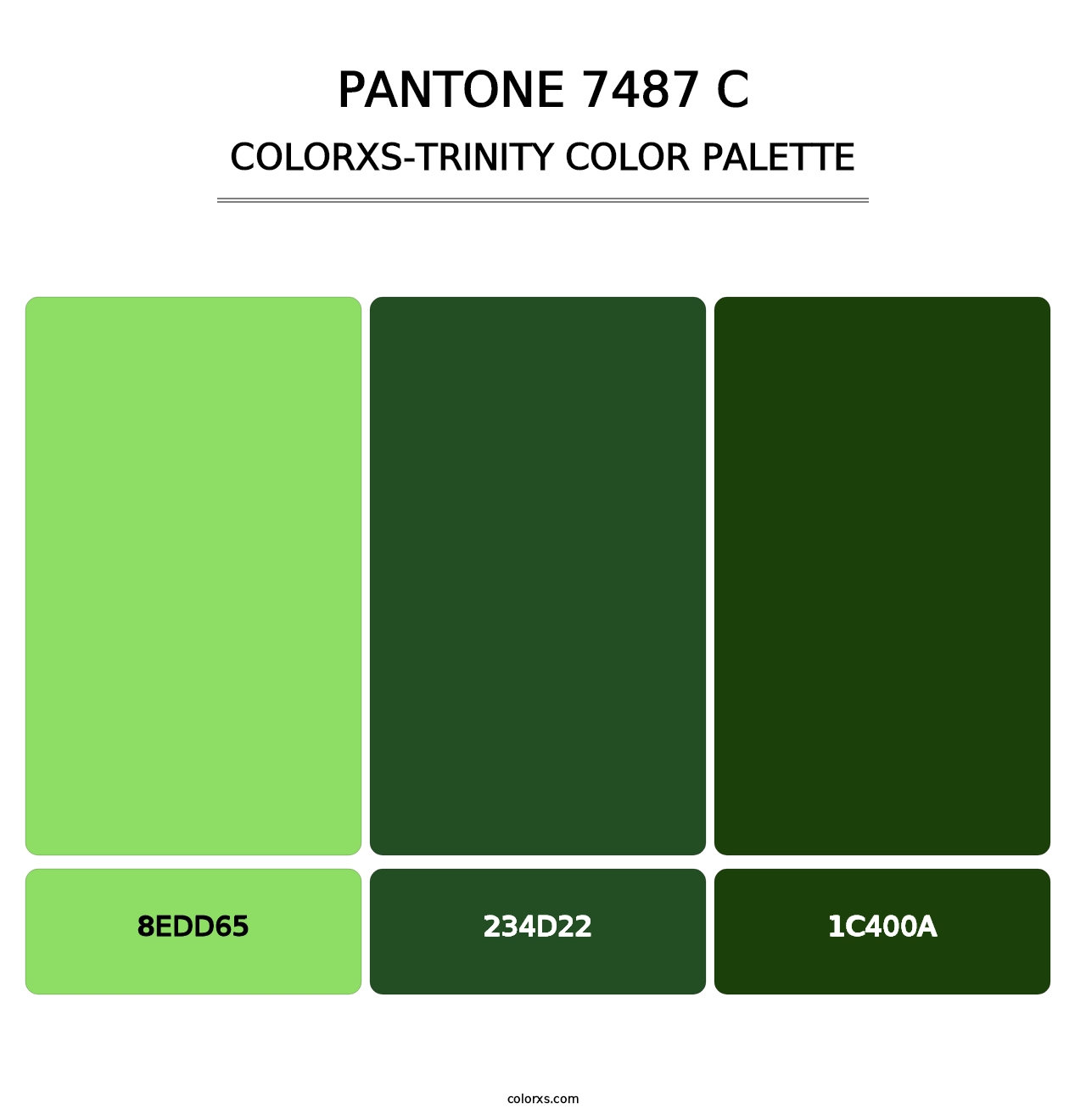 PANTONE 7487 C - Colorxs Trinity Palette