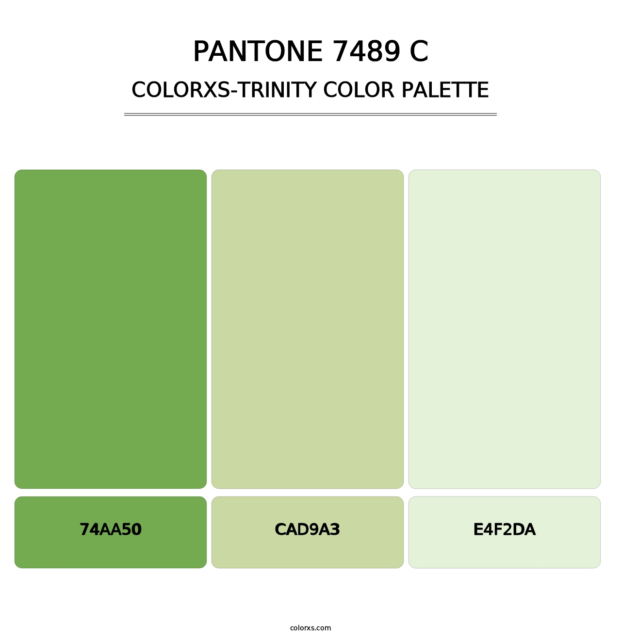 PANTONE 7489 C - Colorxs Trinity Palette