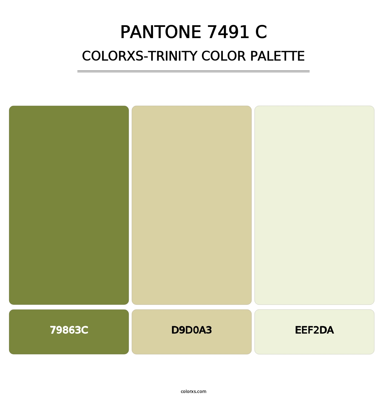 PANTONE 7491 C - Colorxs Trinity Palette