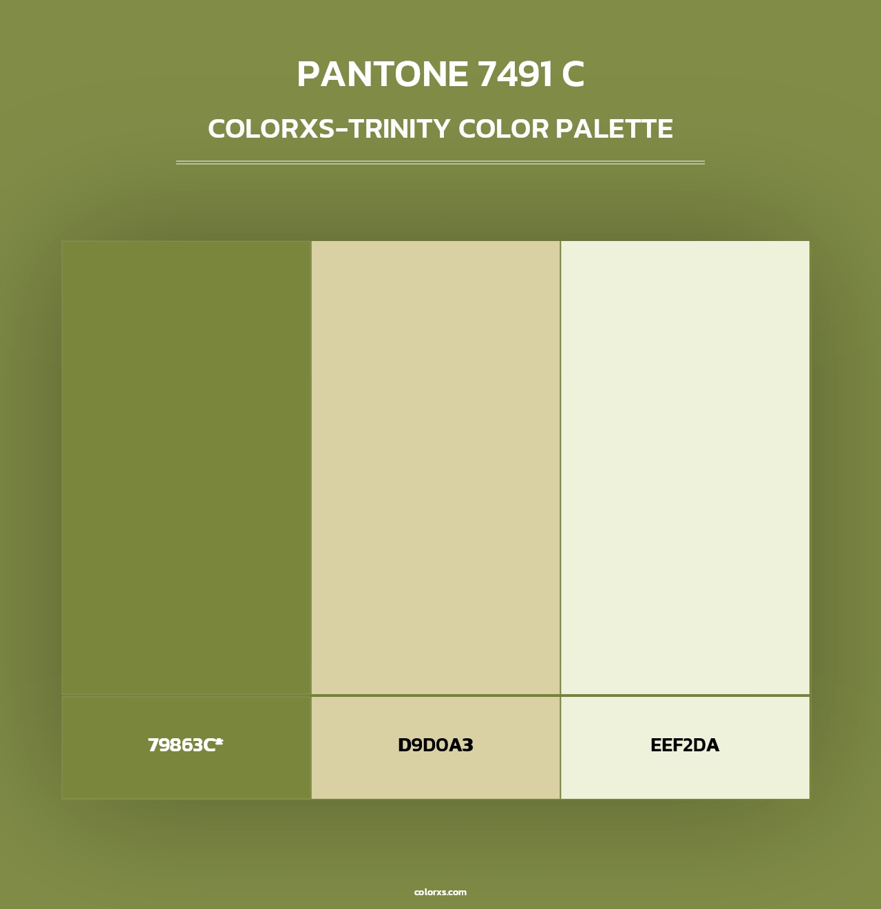 PANTONE 7491 C - Colorxs Trinity Palette