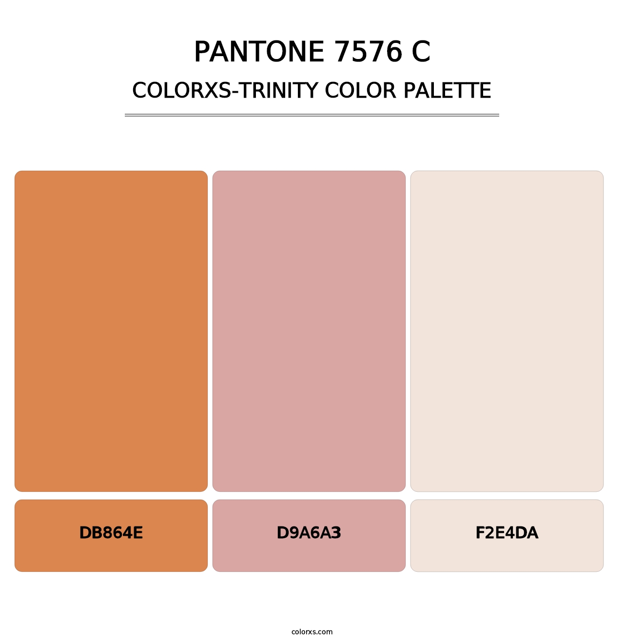 PANTONE 7576 C - Colorxs Trinity Palette
