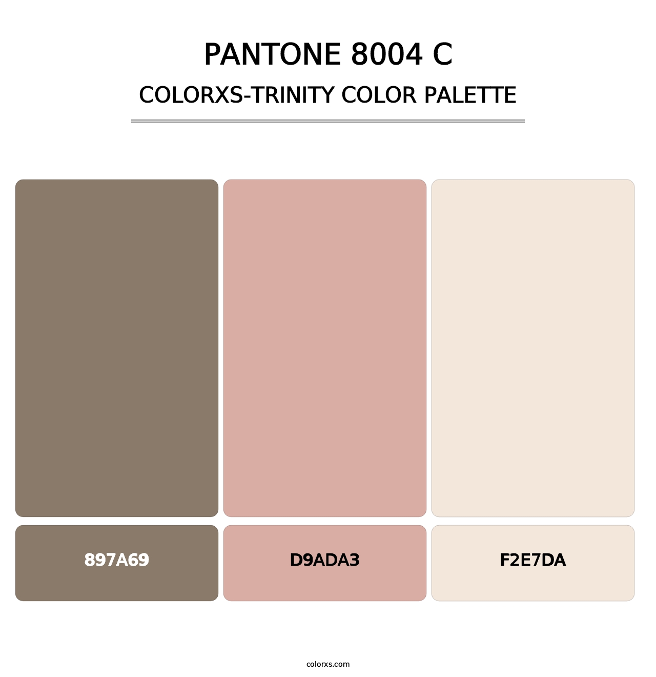 PANTONE 8004 C - Colorxs Trinity Palette
