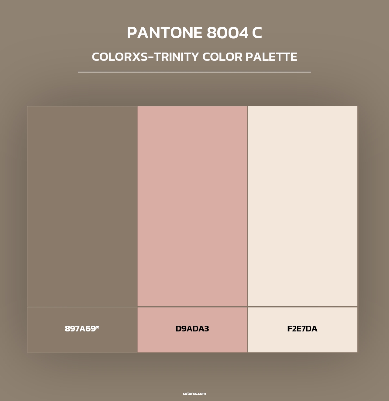 PANTONE 8004 C - Colorxs Trinity Palette