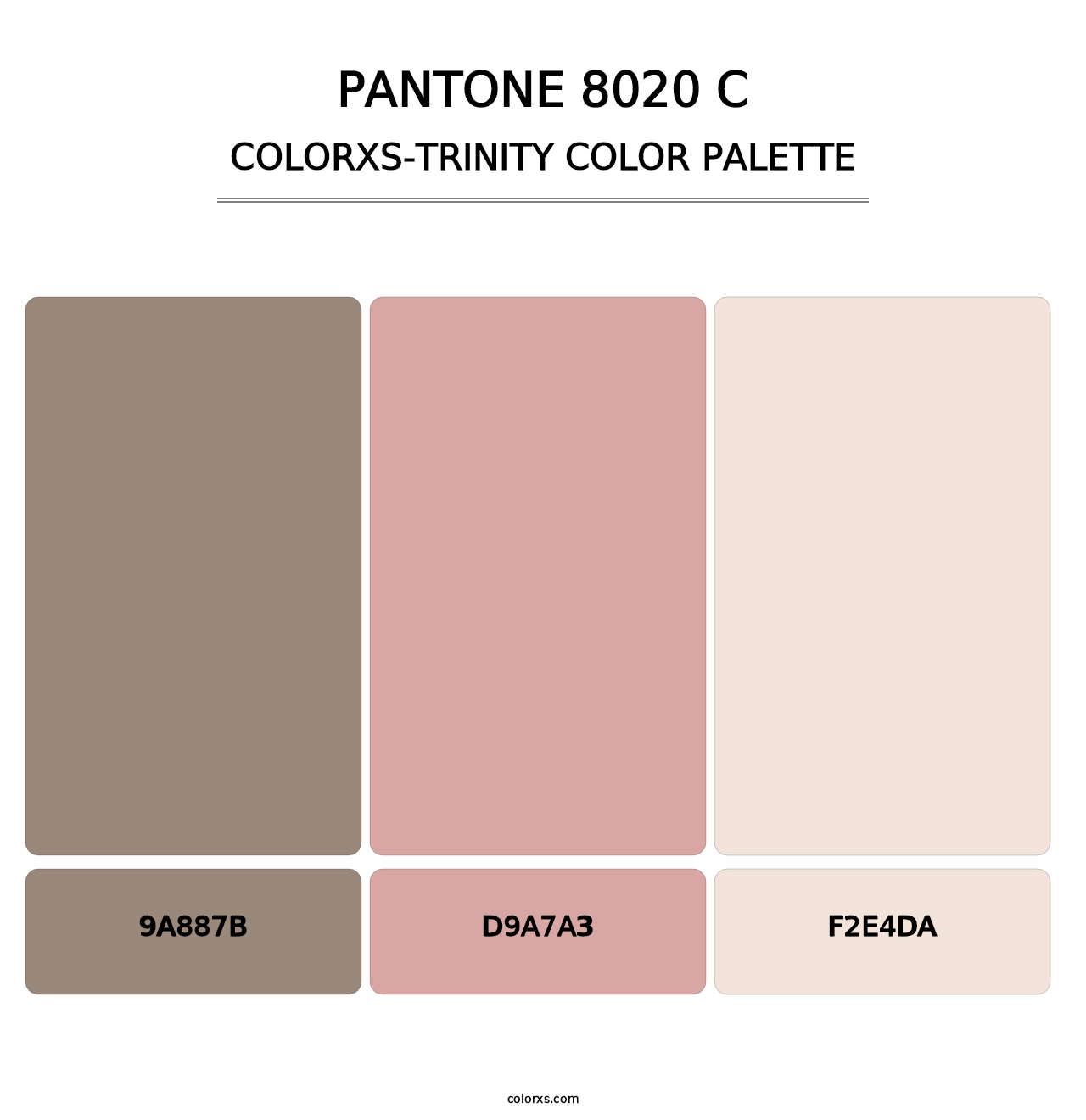 PANTONE 8020 C - Colorxs Trinity Palette