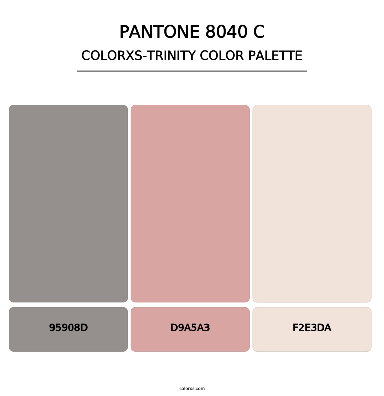 PANTONE 8040 C - Colorxs Trinity Palette