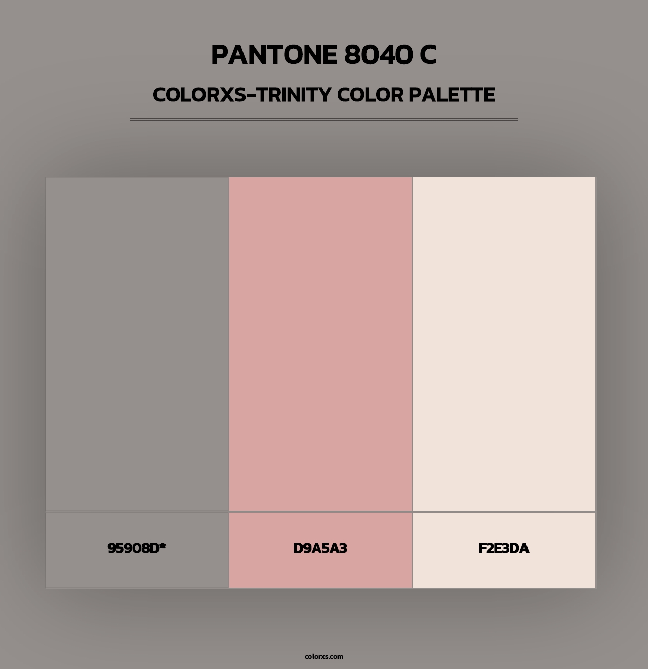 PANTONE 8040 C - Colorxs Trinity Palette