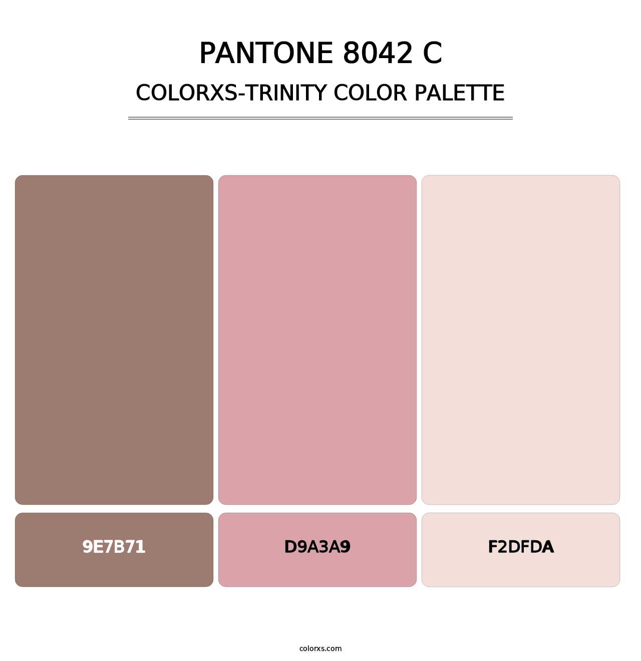 PANTONE 8042 C - Colorxs Trinity Palette