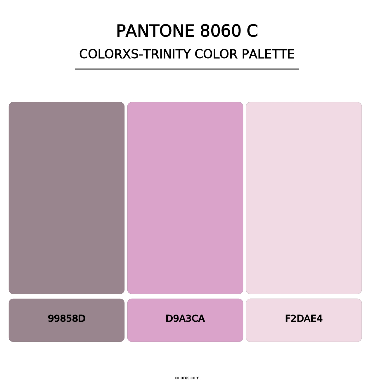 PANTONE 8060 C - Colorxs Trinity Palette