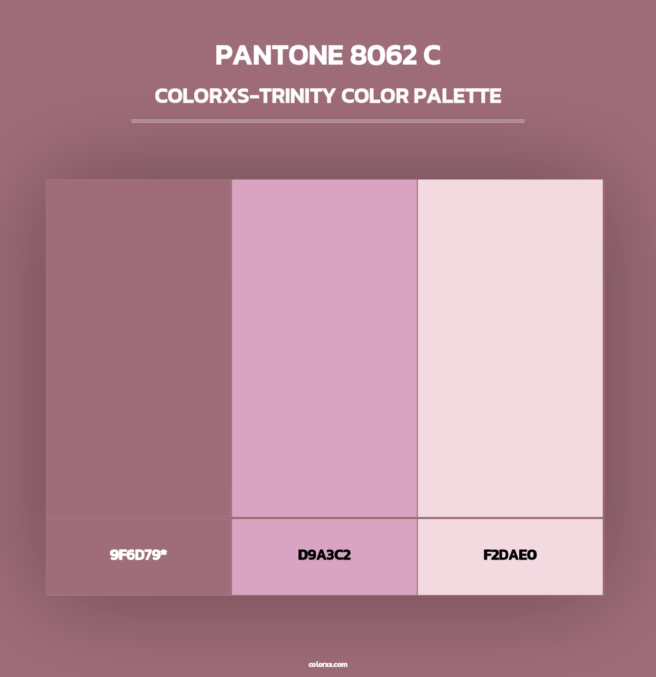 PANTONE 8062 C - Colorxs Trinity Palette