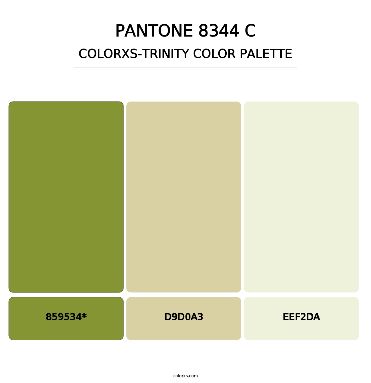PANTONE 8344 C - Colorxs Trinity Palette