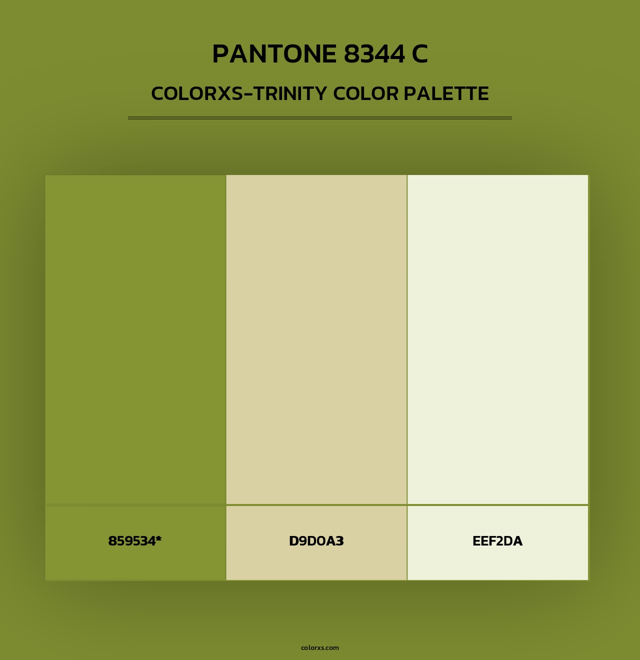 PANTONE 8344 C - Colorxs Trinity Palette