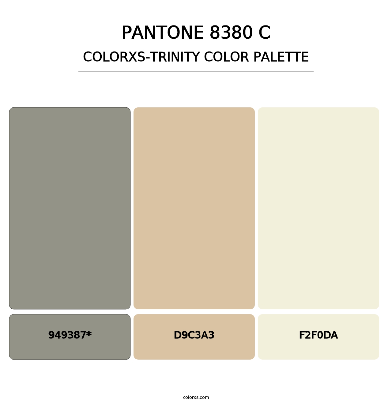 PANTONE 8380 C - Colorxs Trinity Palette