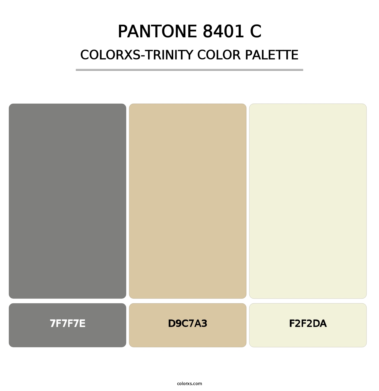 PANTONE 8401 C - Colorxs Trinity Palette
