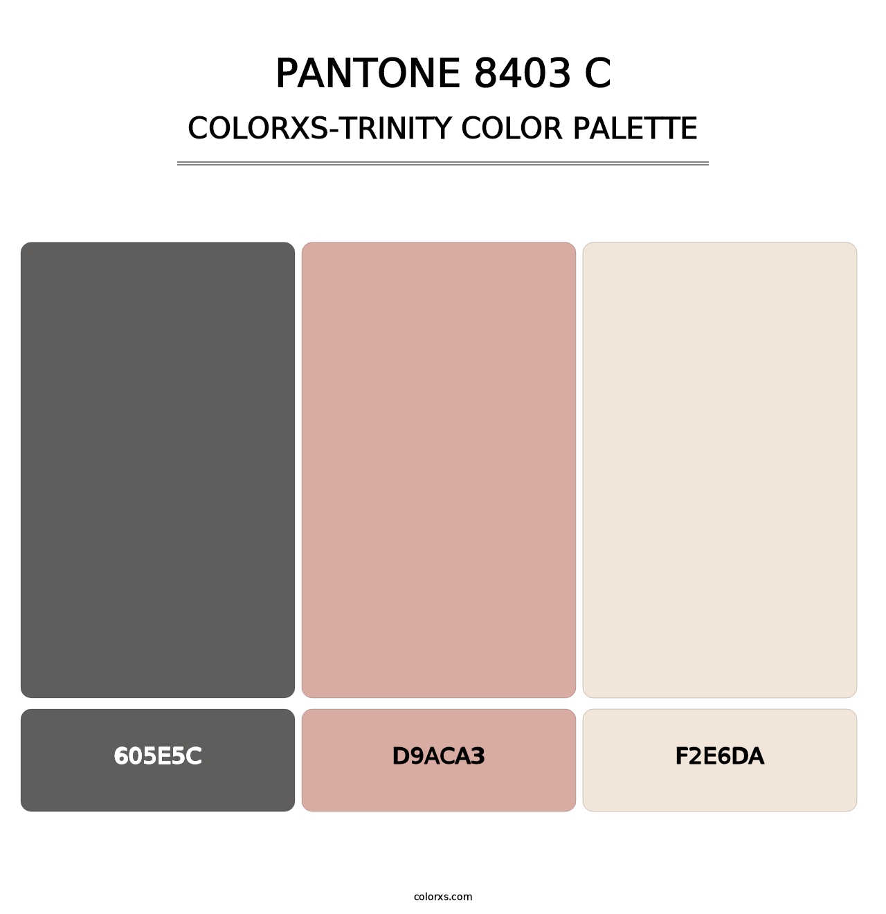 PANTONE 8403 C - Colorxs Trinity Palette