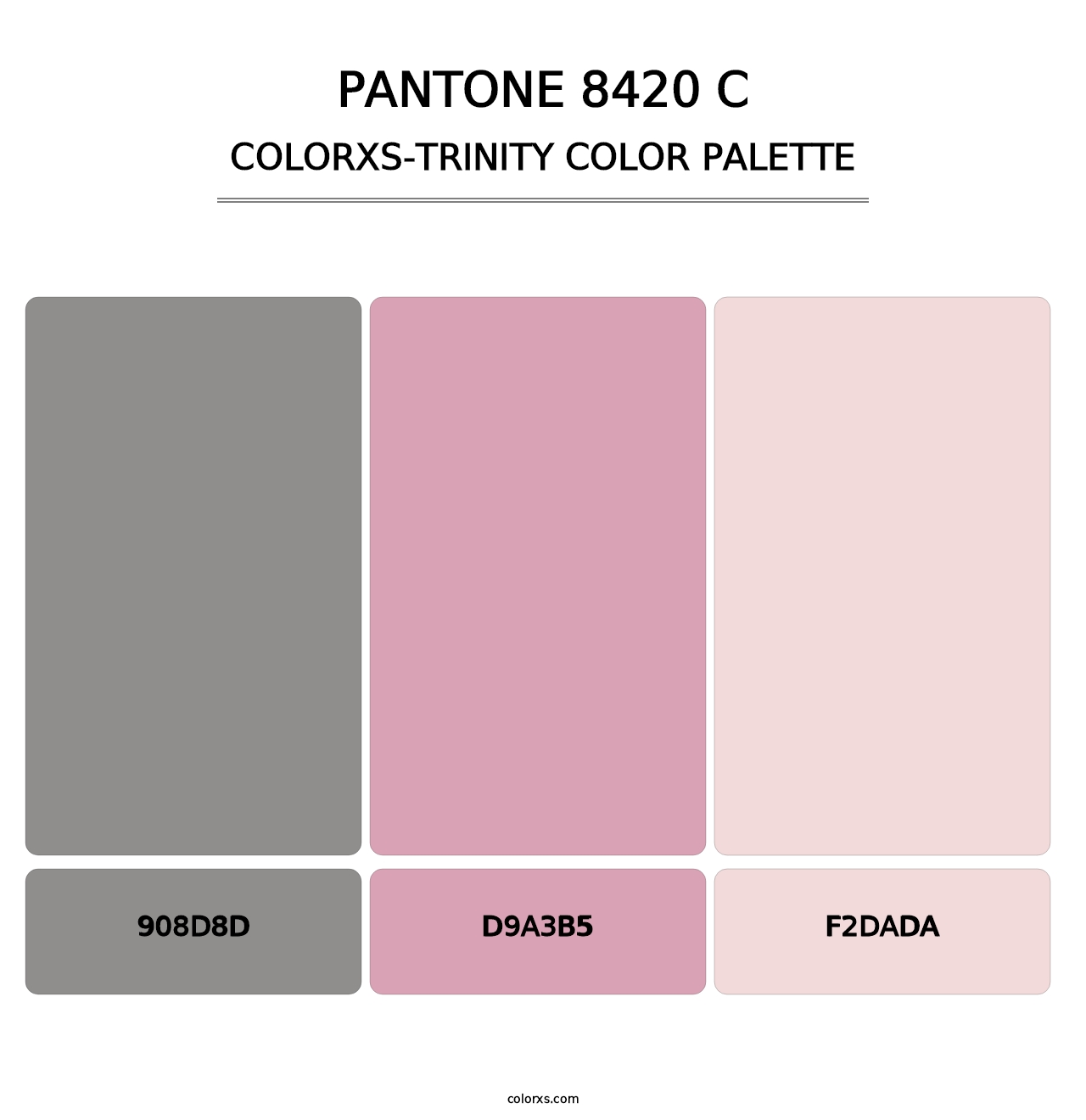 PANTONE 8420 C - Colorxs Trinity Palette