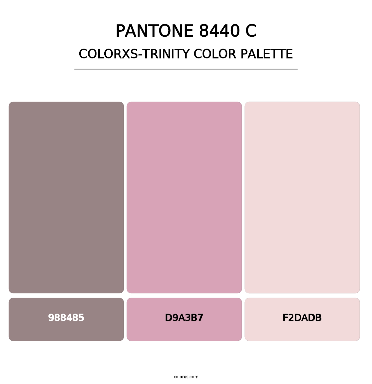 PANTONE 8440 C - Colorxs Trinity Palette
