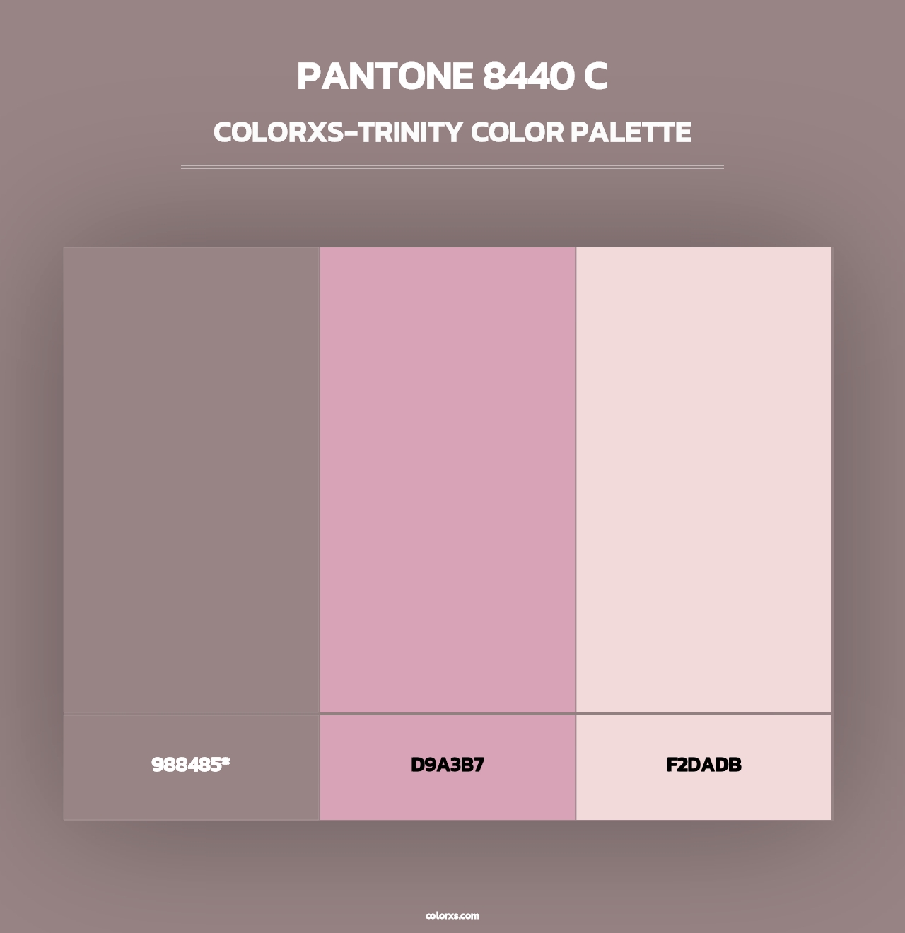PANTONE 8440 C - Colorxs Trinity Palette