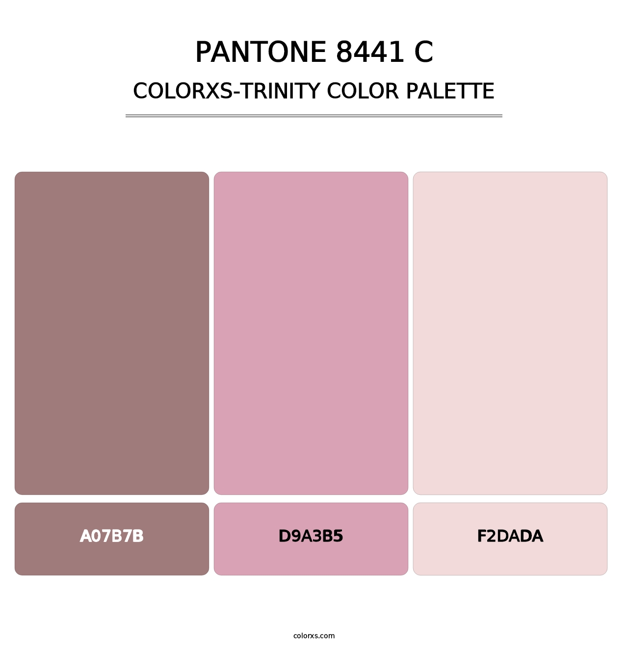 PANTONE 8441 C - Colorxs Trinity Palette