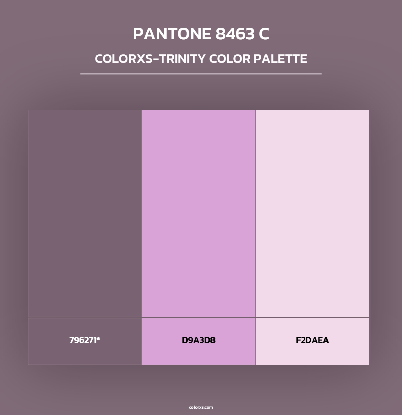 PANTONE 8463 C - Colorxs Trinity Palette