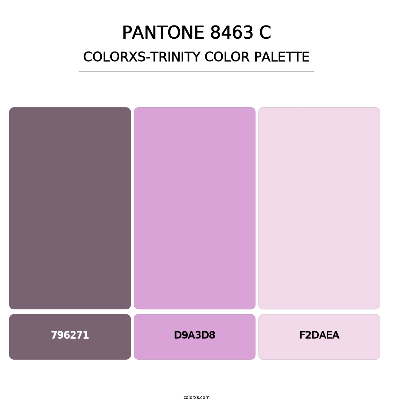 PANTONE 8463 C - Colorxs Trinity Palette