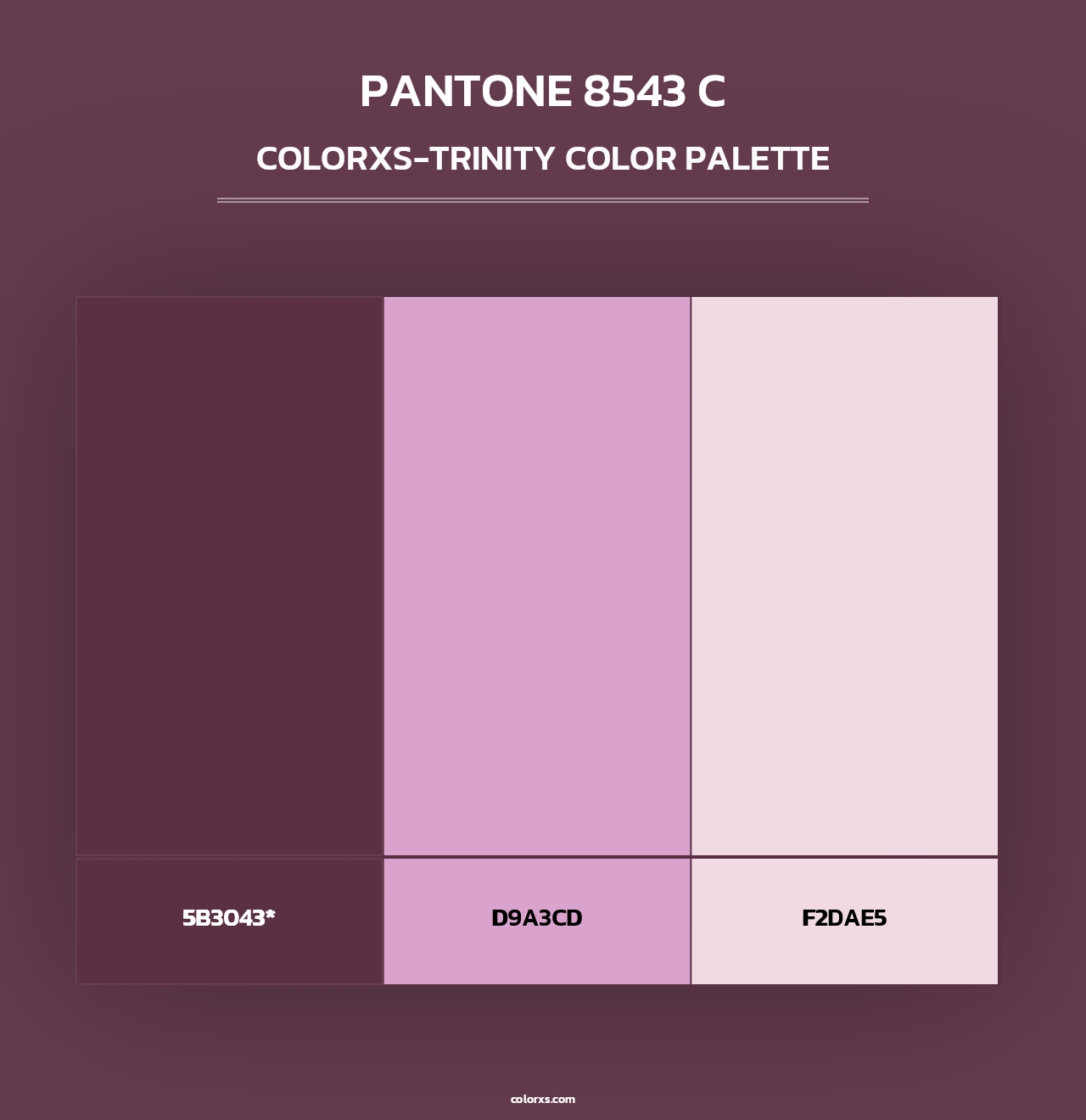 PANTONE 8543 C - Colorxs Trinity Palette