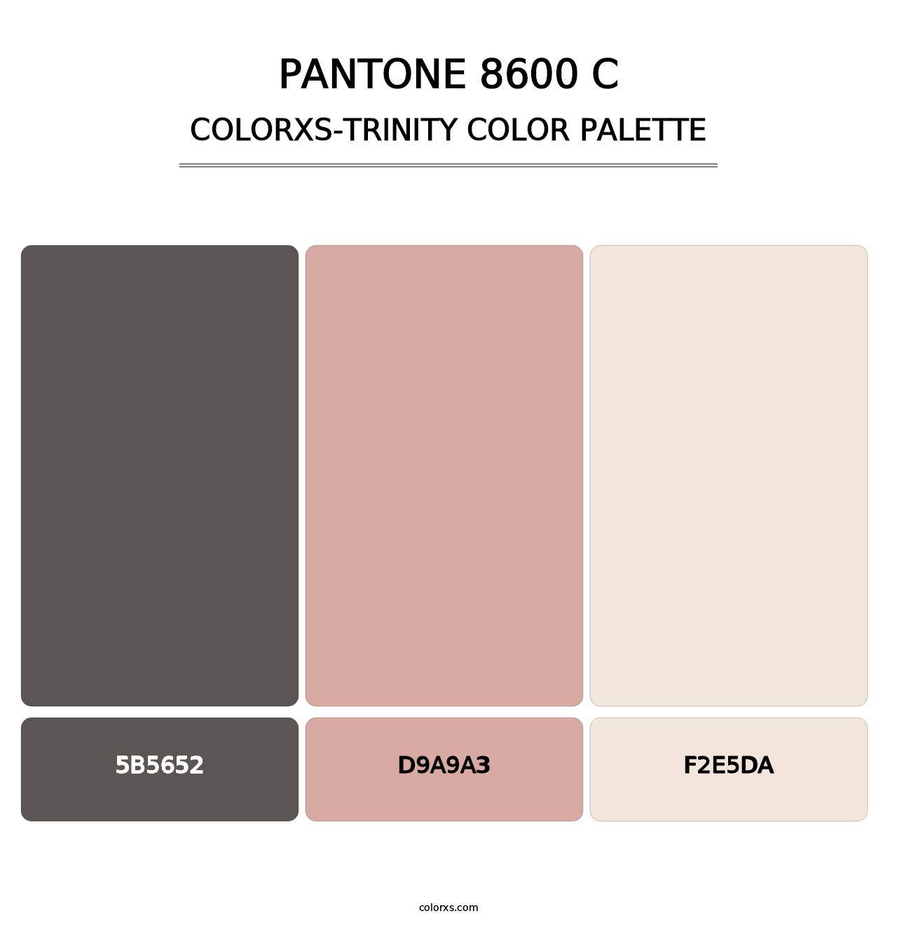 PANTONE 8600 C - Colorxs Trinity Palette